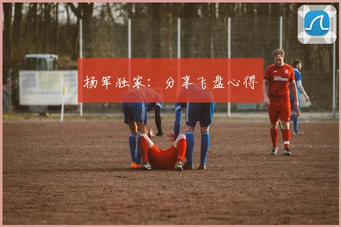 杨军独家：分享飞盘心得