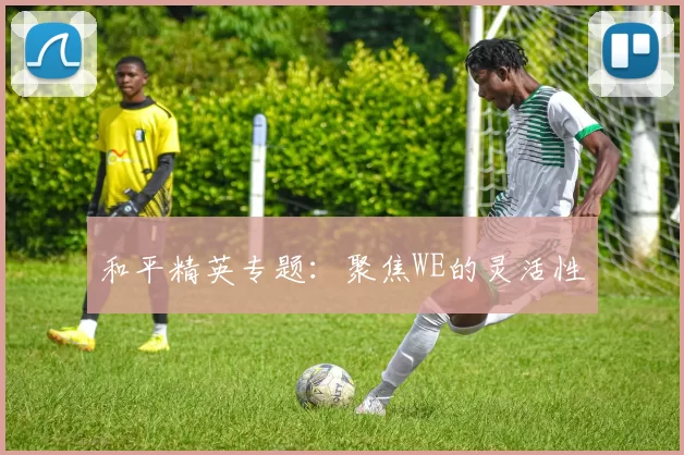 和平精英专题：聚焦WE的灵活性