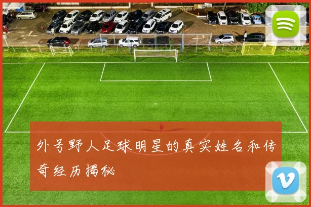 外号野人足球明星的真实姓名和传奇经历揭秘