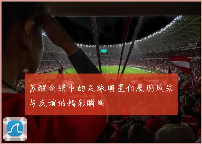 苏醒合照中的足球明星们展现风采与友谊的精彩瞬间