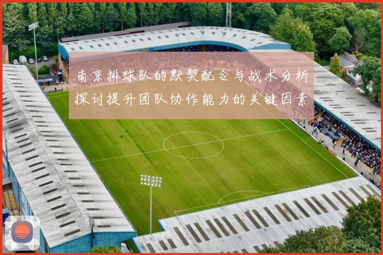 南京排球队的默契配合与战术分析探讨提升团队协作能力的关键因素