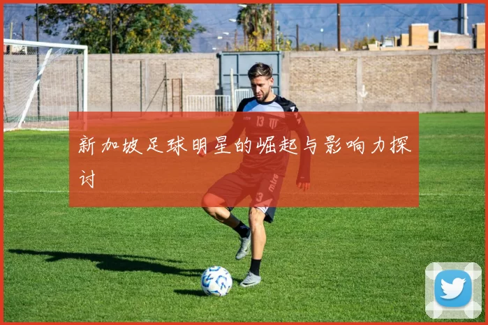 新加坡足球明星的崛起与影响力探讨